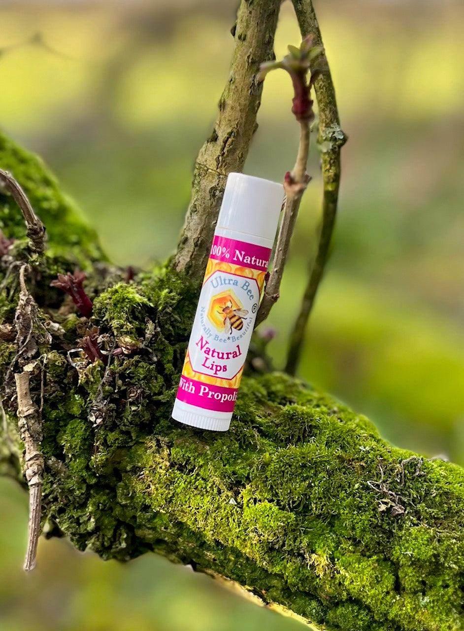 100% Natural Lip Balm Honey, Propolis 4.3g - Image 6