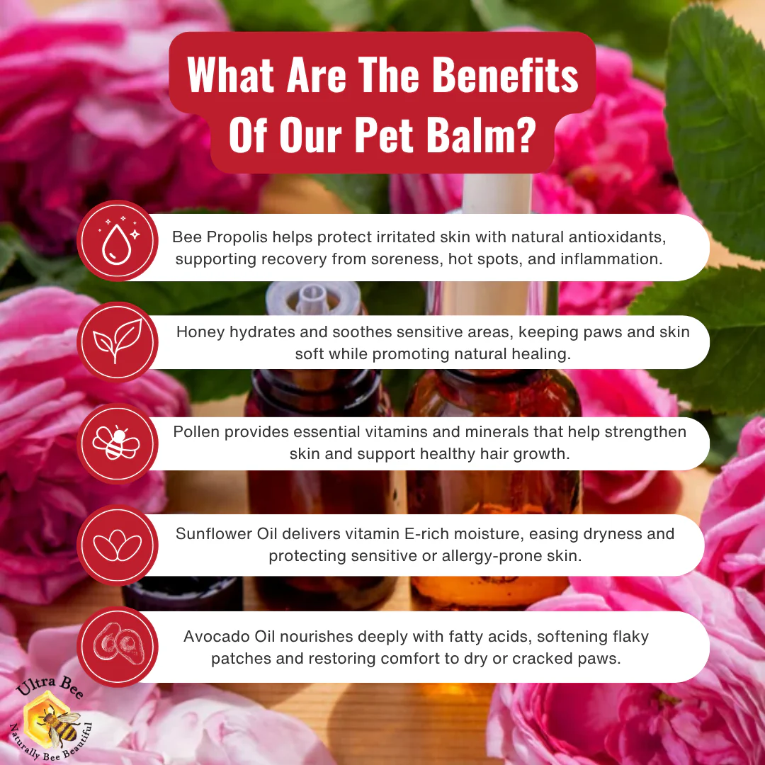100% Natural Pet Dry Skin & Itch Balm (Non Toxic) 100ml - Image 4